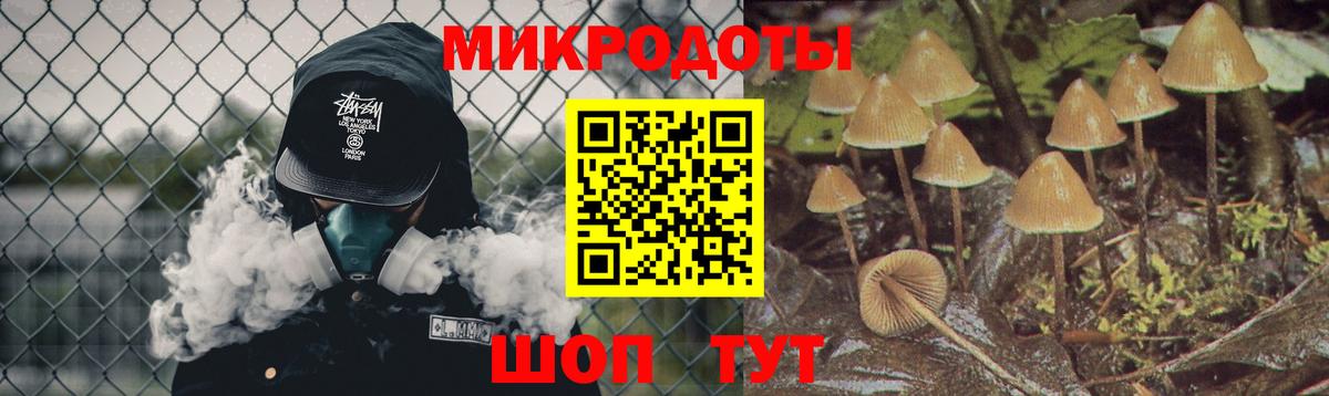 Мариинск  сколько стоит  Псилоцибиновые грибы мухоморы  Вход с VPN  Галлюциногенные грибы прущие грибы 
